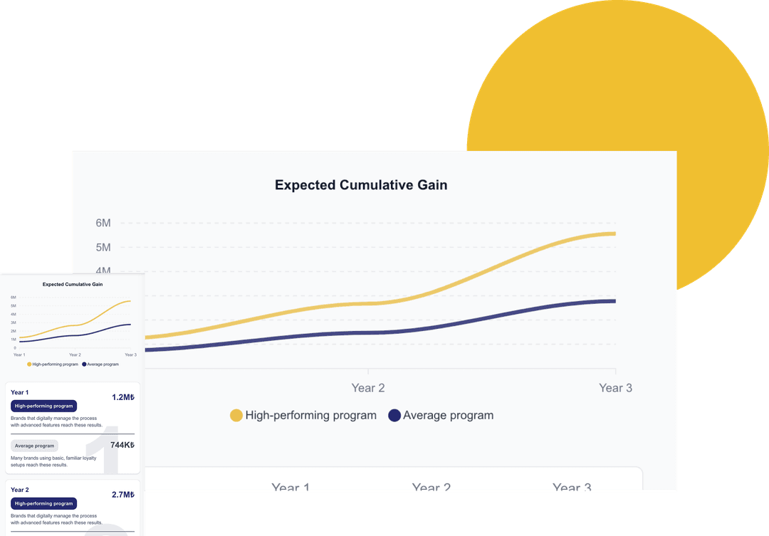 Loyalty Program ROI Calculator